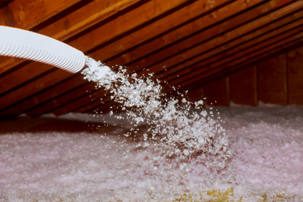 Best Commercial Insulation in Elk Creek, KY