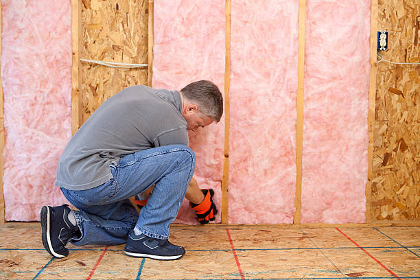 Best Cellulose Insulation in Elk Creek, KY
