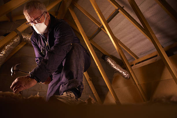 Best Spray Foam Insulation in Elk Creek, KY